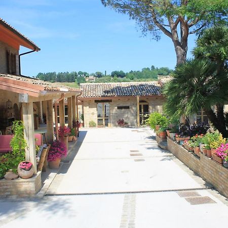 تشيفيتانوفا ألتا B&B Il Cavallino المظهر الخارجي الصورة
