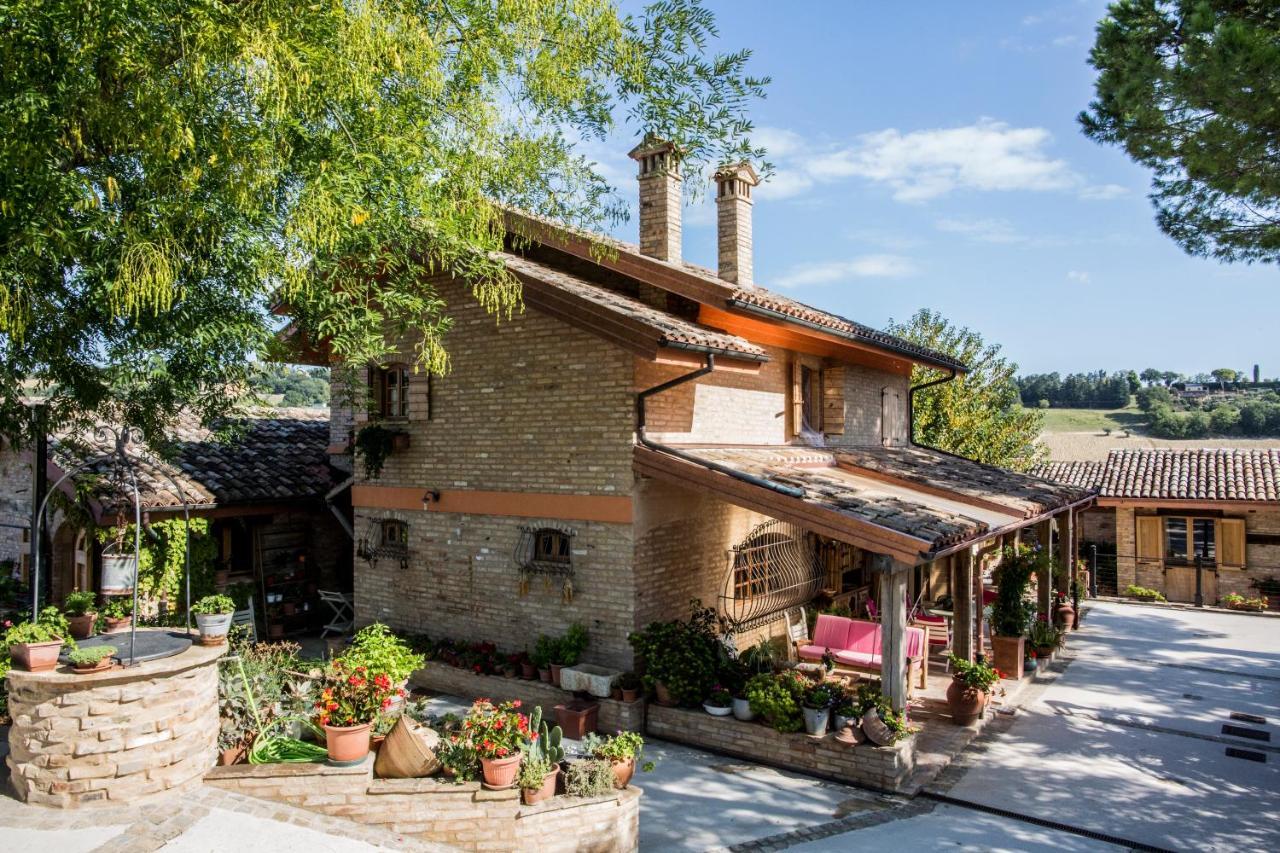 تشيفيتانوفا ألتا B&B Il Cavallino المظهر الخارجي الصورة