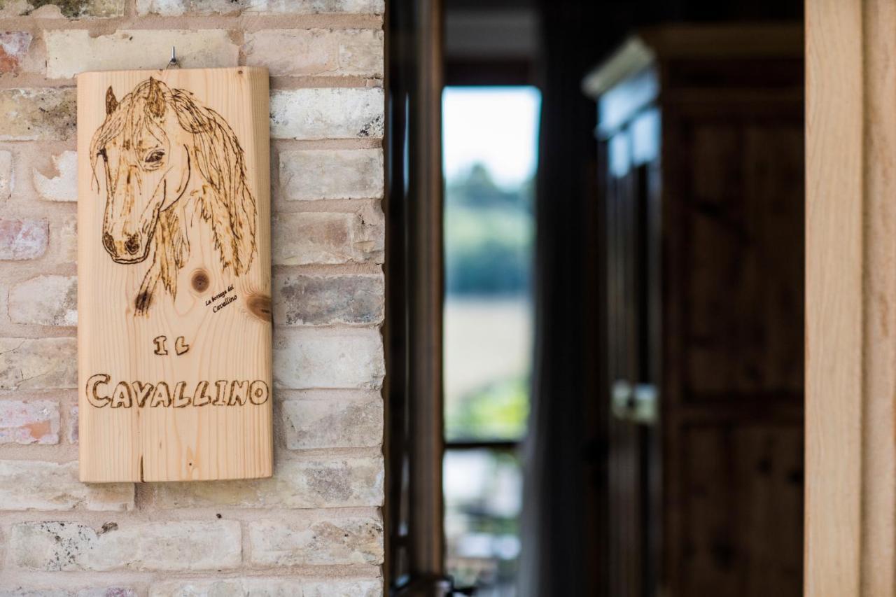 تشيفيتانوفا ألتا B&B Il Cavallino المظهر الخارجي الصورة