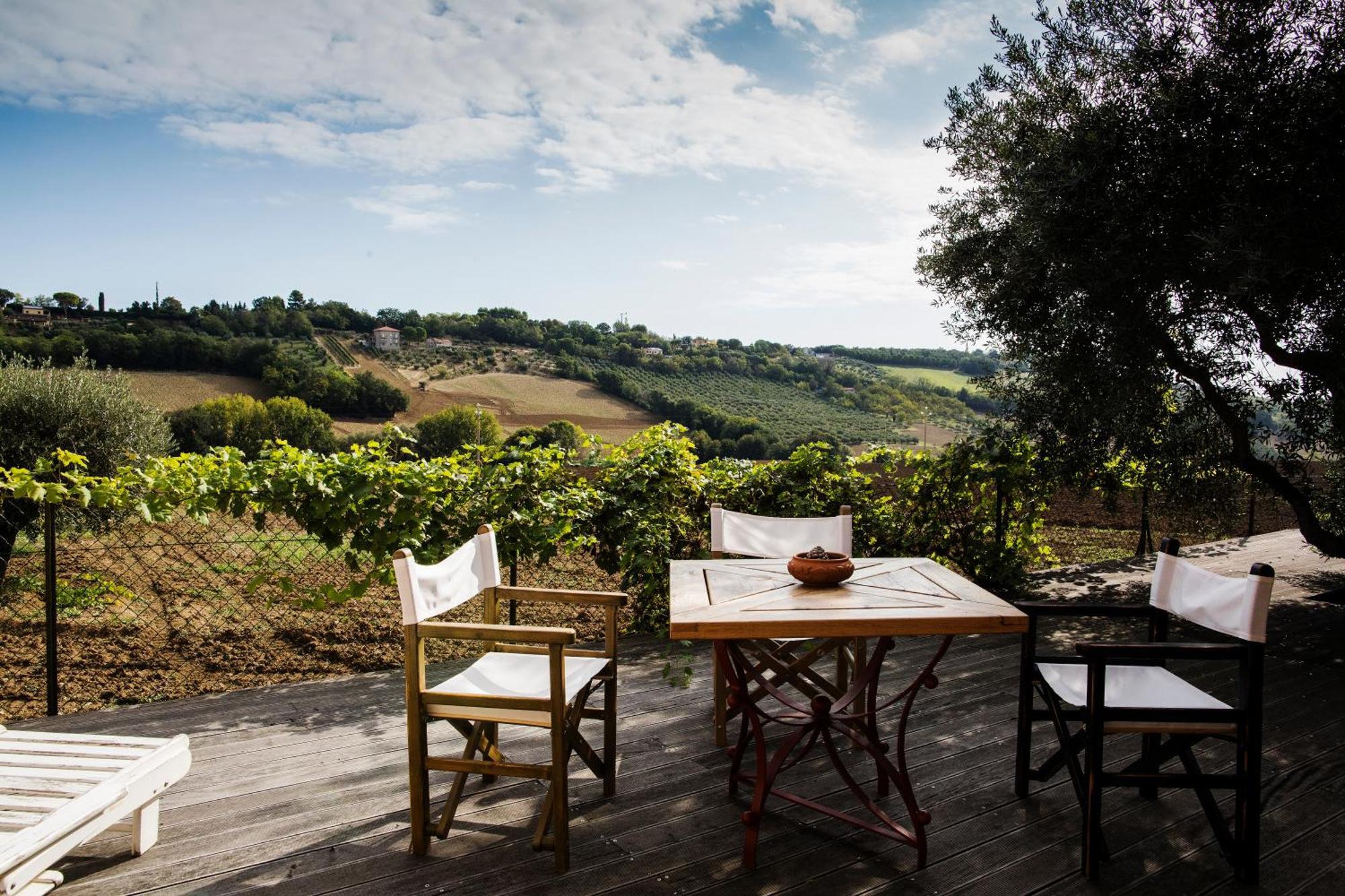 تشيفيتانوفا ألتا B&B Il Cavallino المظهر الخارجي الصورة