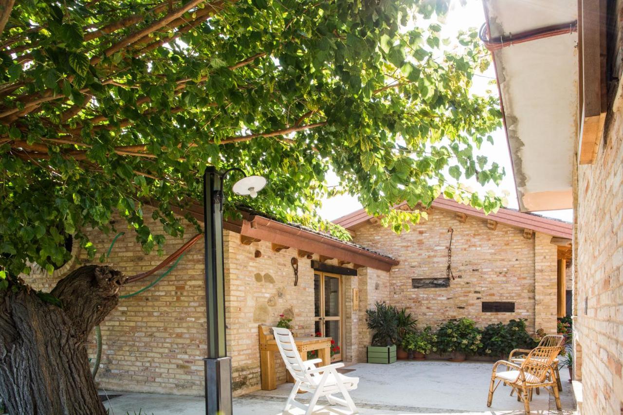 تشيفيتانوفا ألتا B&B Il Cavallino المظهر الخارجي الصورة