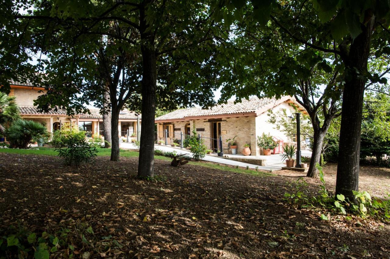 تشيفيتانوفا ألتا B&B Il Cavallino المظهر الخارجي الصورة