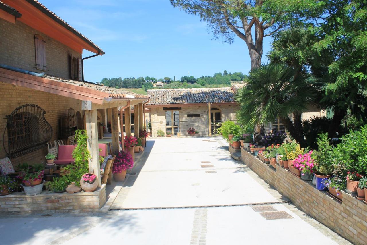 تشيفيتانوفا ألتا B&B Il Cavallino المظهر الخارجي الصورة