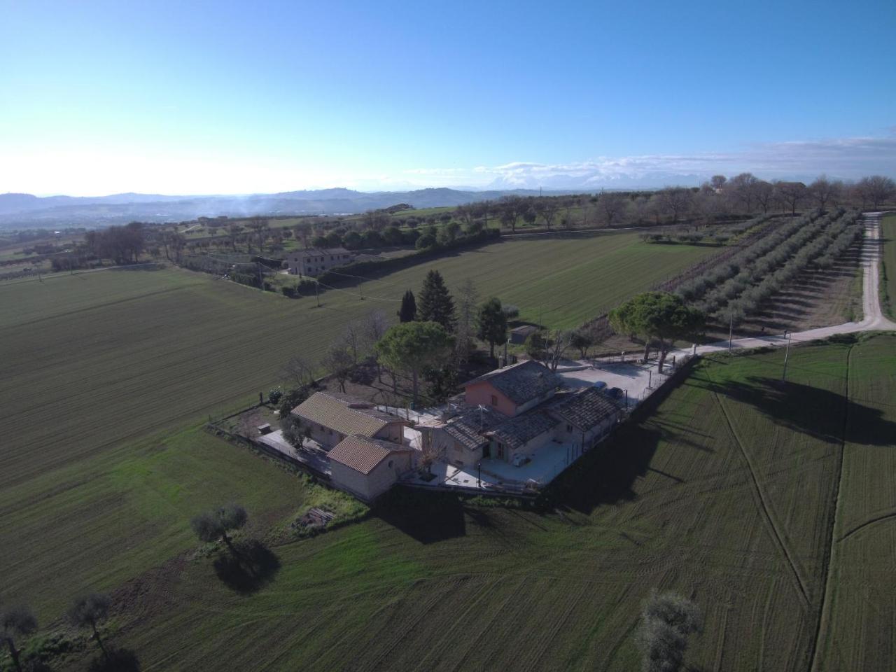 تشيفيتانوفا ألتا B&B Il Cavallino المظهر الخارجي الصورة