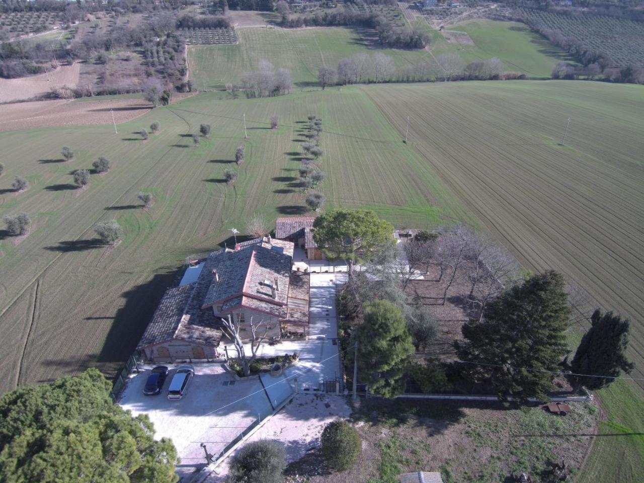 تشيفيتانوفا ألتا B&B Il Cavallino المظهر الخارجي الصورة