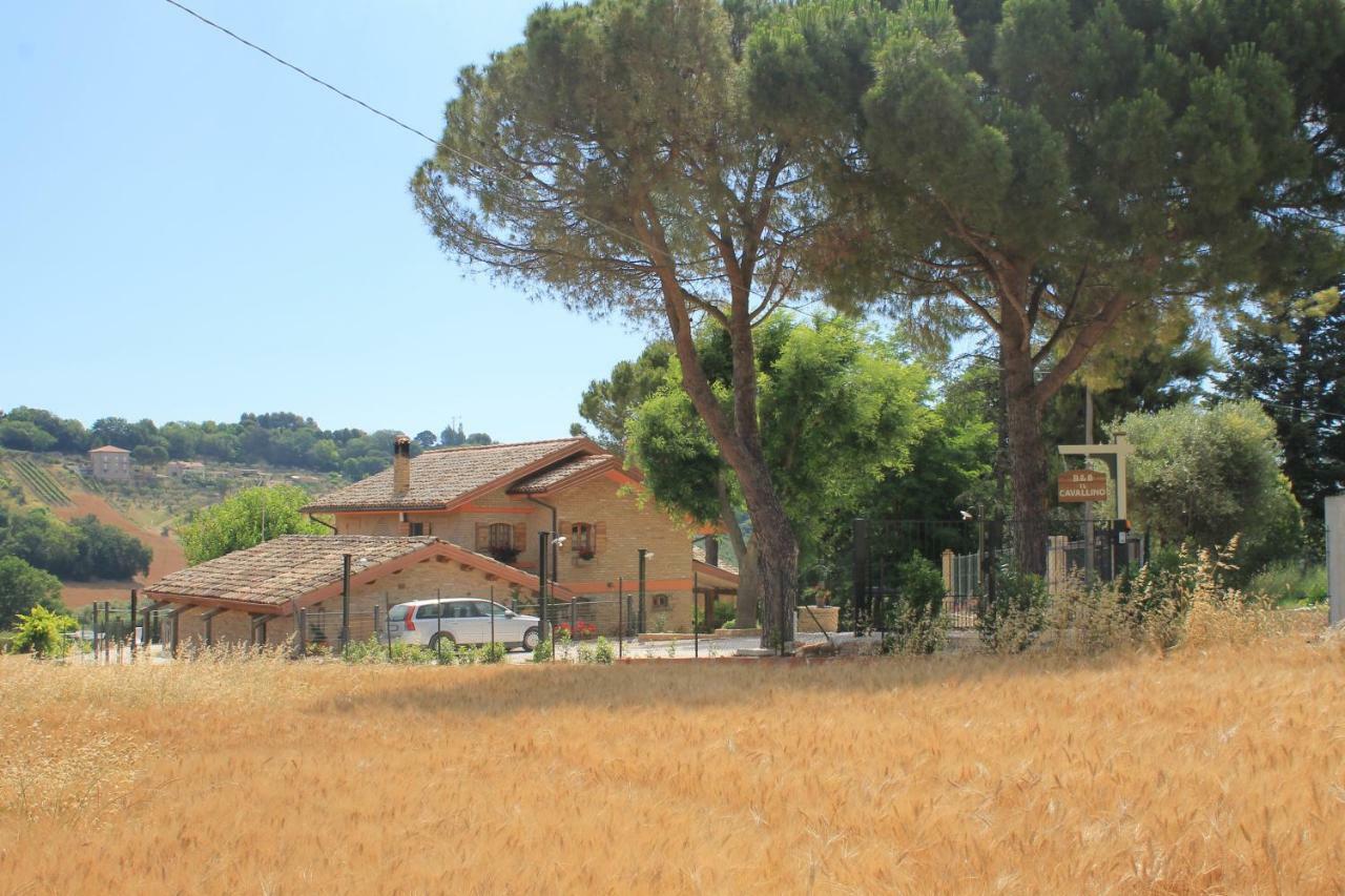 تشيفيتانوفا ألتا B&B Il Cavallino المظهر الخارجي الصورة